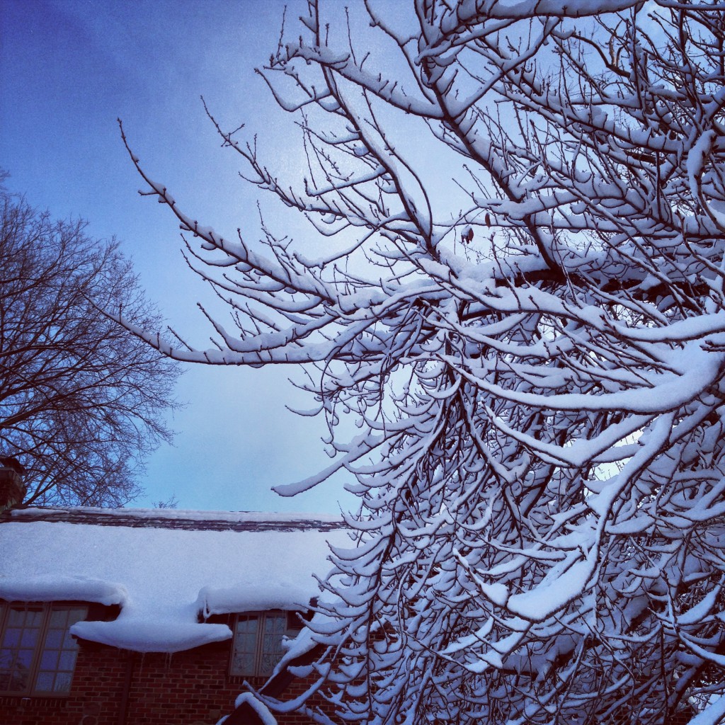 Yasmeen anderson Photography